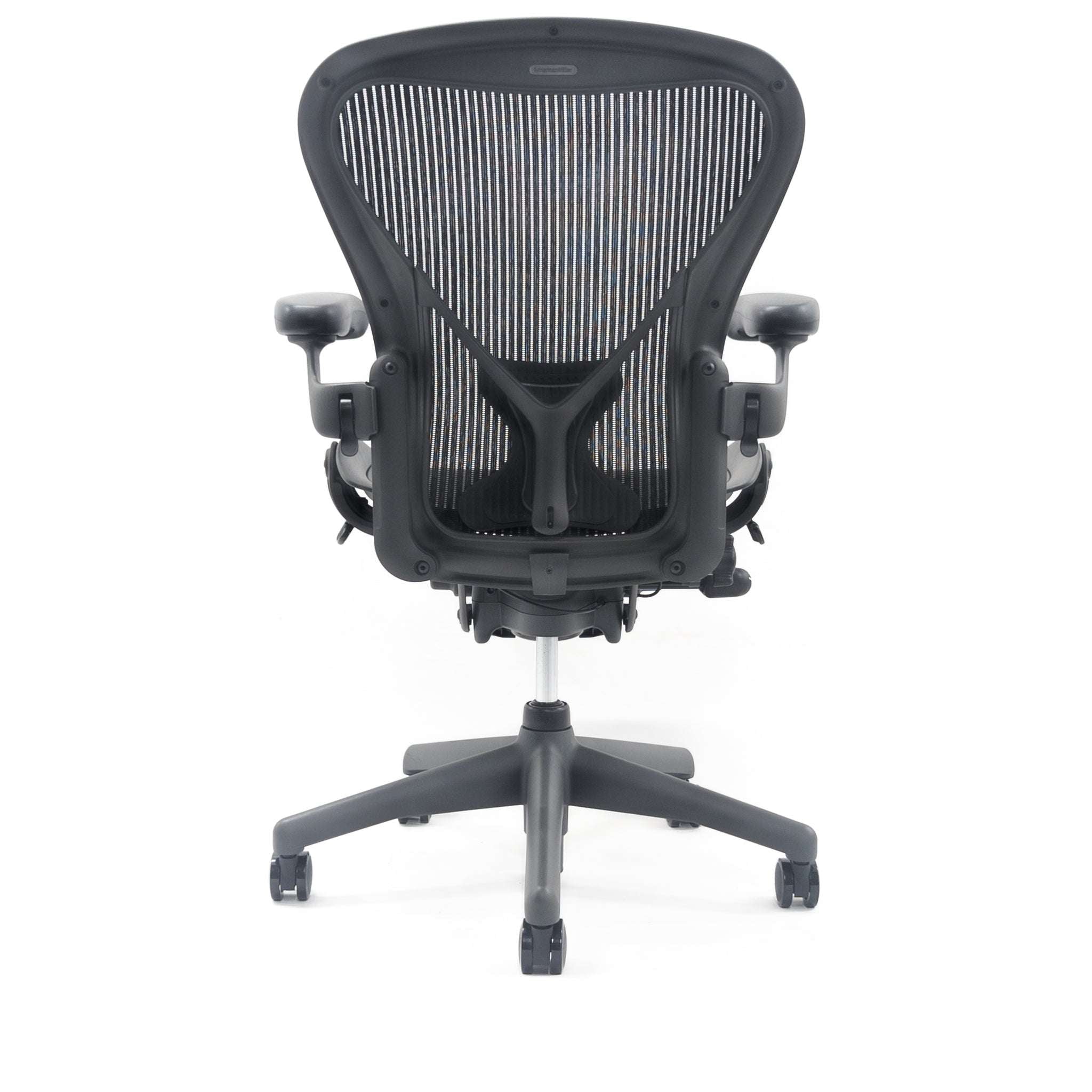 Herman Miller Aeron PostureFit Back View